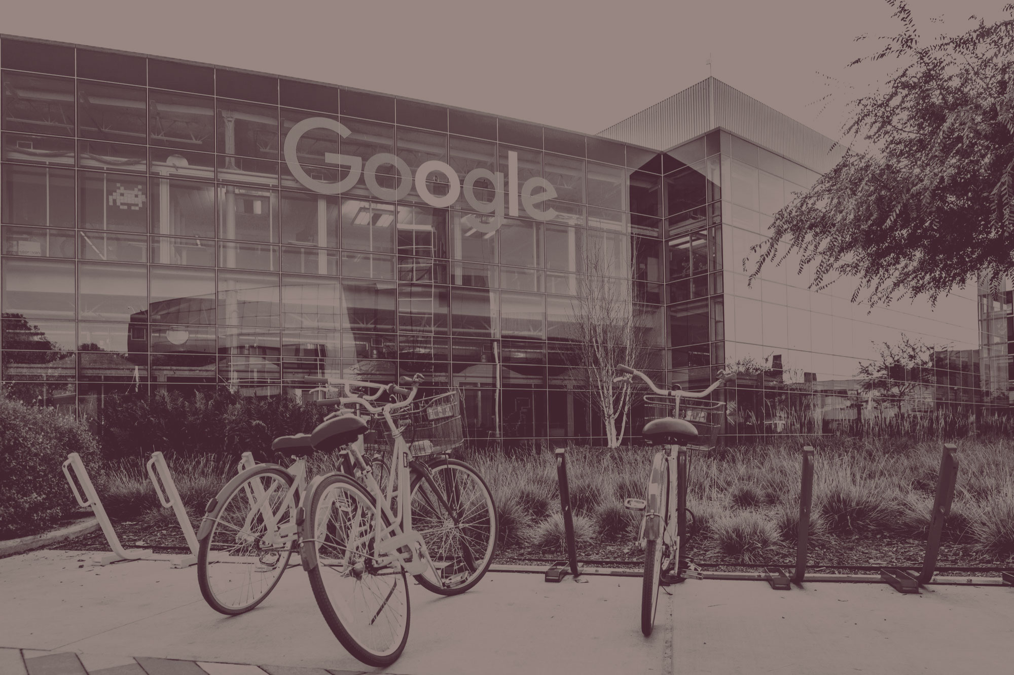 How Google Works